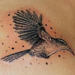 Tattoos - Stipple Wren - 134505
